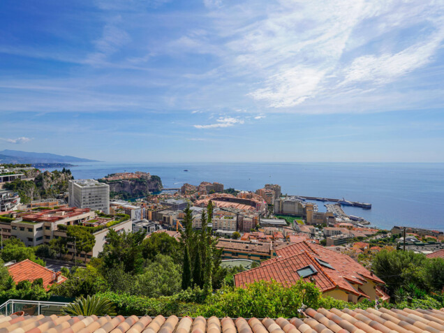 CAP D'AIL - MAISON AVEC PISCINE - FRONTIÈRES MONACO