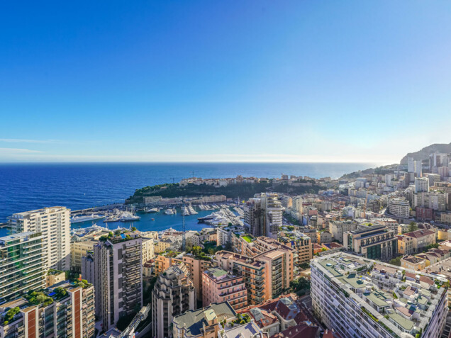 MILLEFIORI - 2 PIÈCES - VUE PANORAMIQUE MER ET MONACO