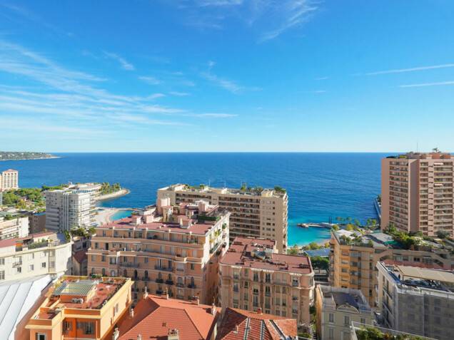 VILLA ANNONCIADE - 3/4 PIÈCES TRIPLEX PENTHOUSE