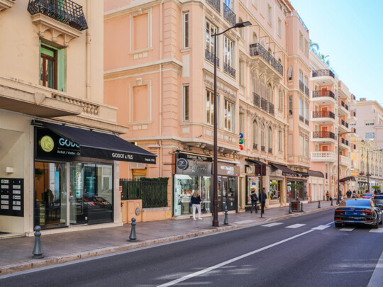 BOULEVARD DES MOULINS - 2 PIÈCES RÉNOVÉ - LUMINEUX