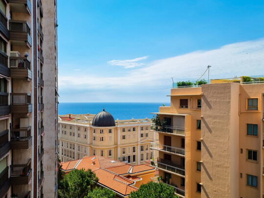 MONTE-CARLO: UFFICIO ARREDATO, SPAZIOSO E PIANO ALTO