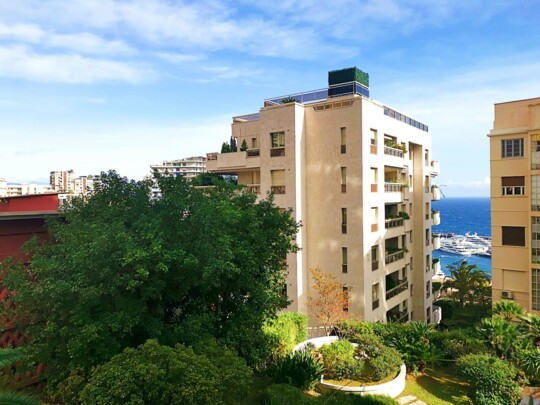 LES MONEGHETTI - LARGE MIXED-USE STUDIO