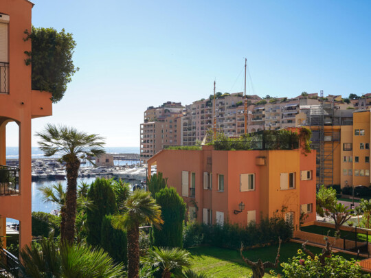 PORT DE FONTVIELLE - STUDIO - VUE MER