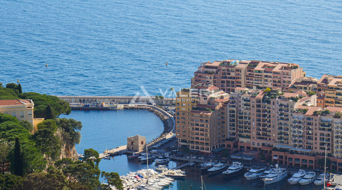 FONTVIEILLE - RENOVATED 1-BEDROOM FLAT WITH LOGGIA