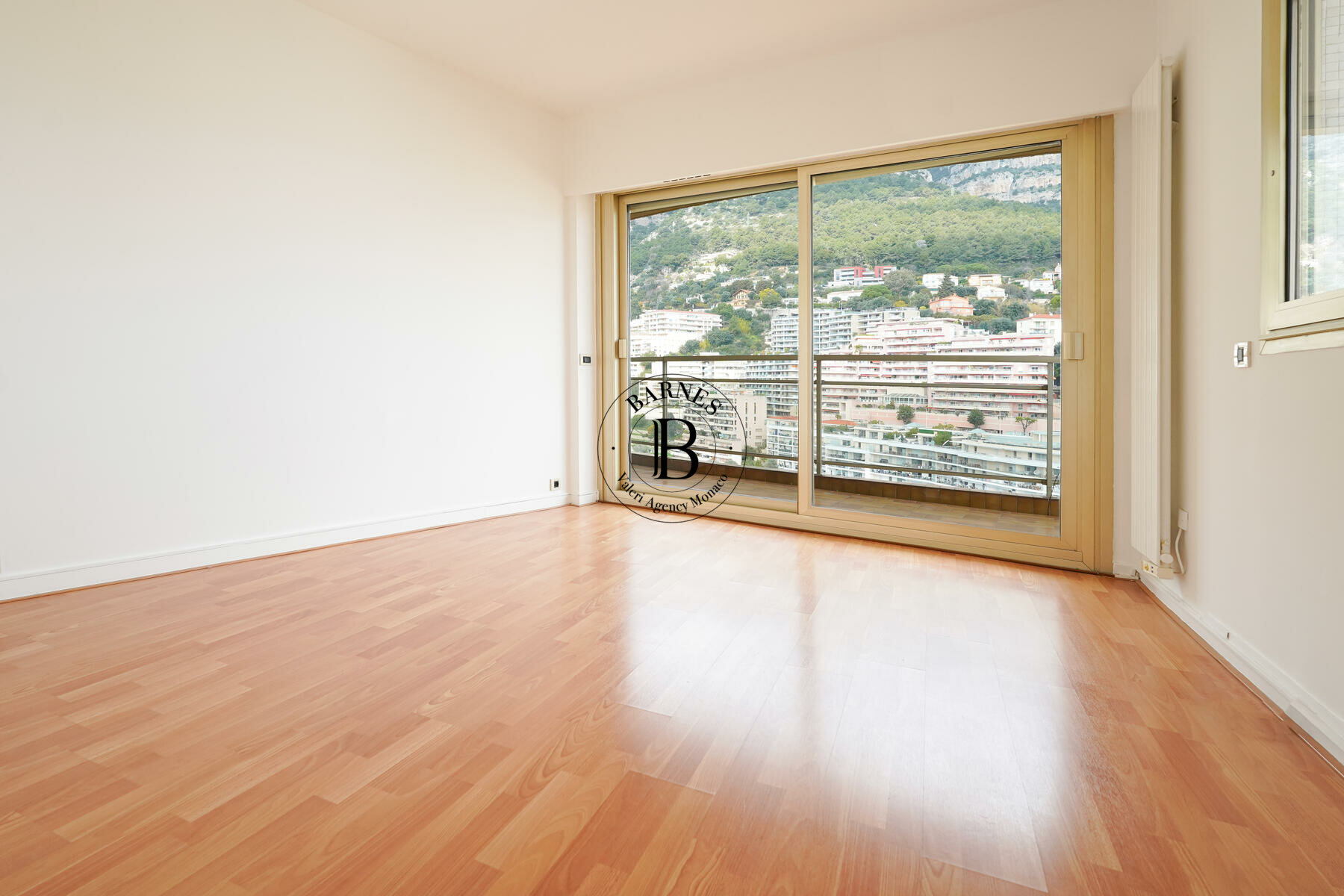 ANNONCIADE - ATTICO - VISTA SUL MARE E SUL MONACO - 4/10