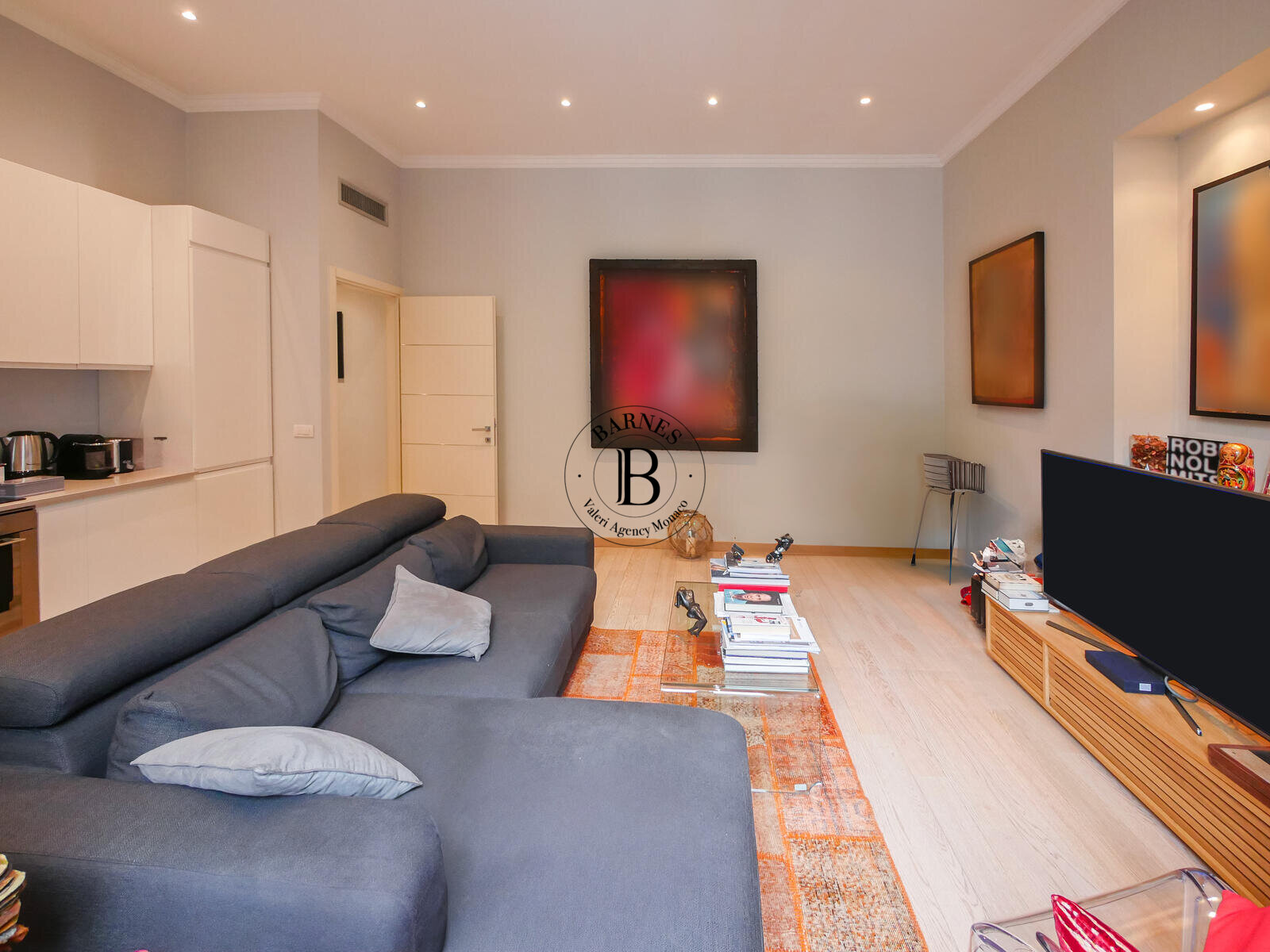 MONTE CARLO - SPACIOZO BILOCALE - USO MISTO - 2/11