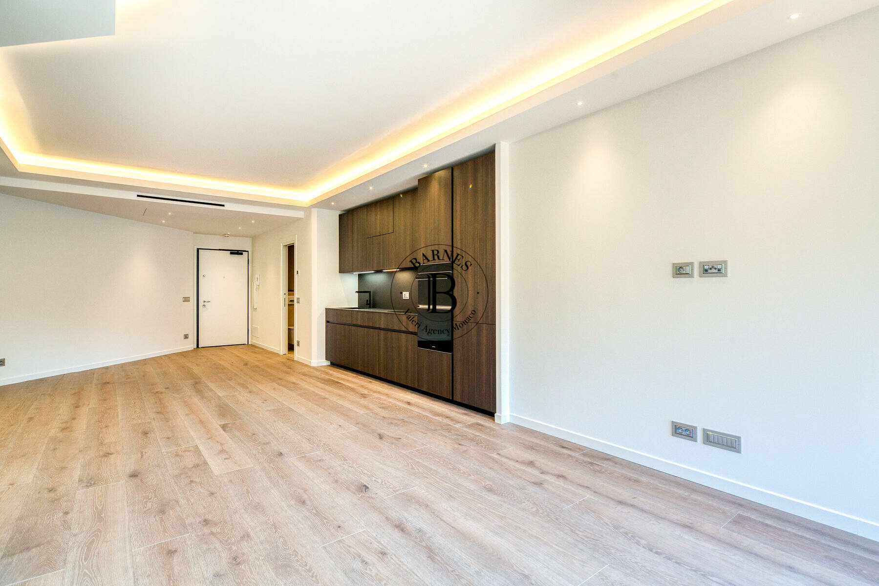 PARC SAINT ROMAN - RENOVATED 1-BEDROOM FLAT - 2/6