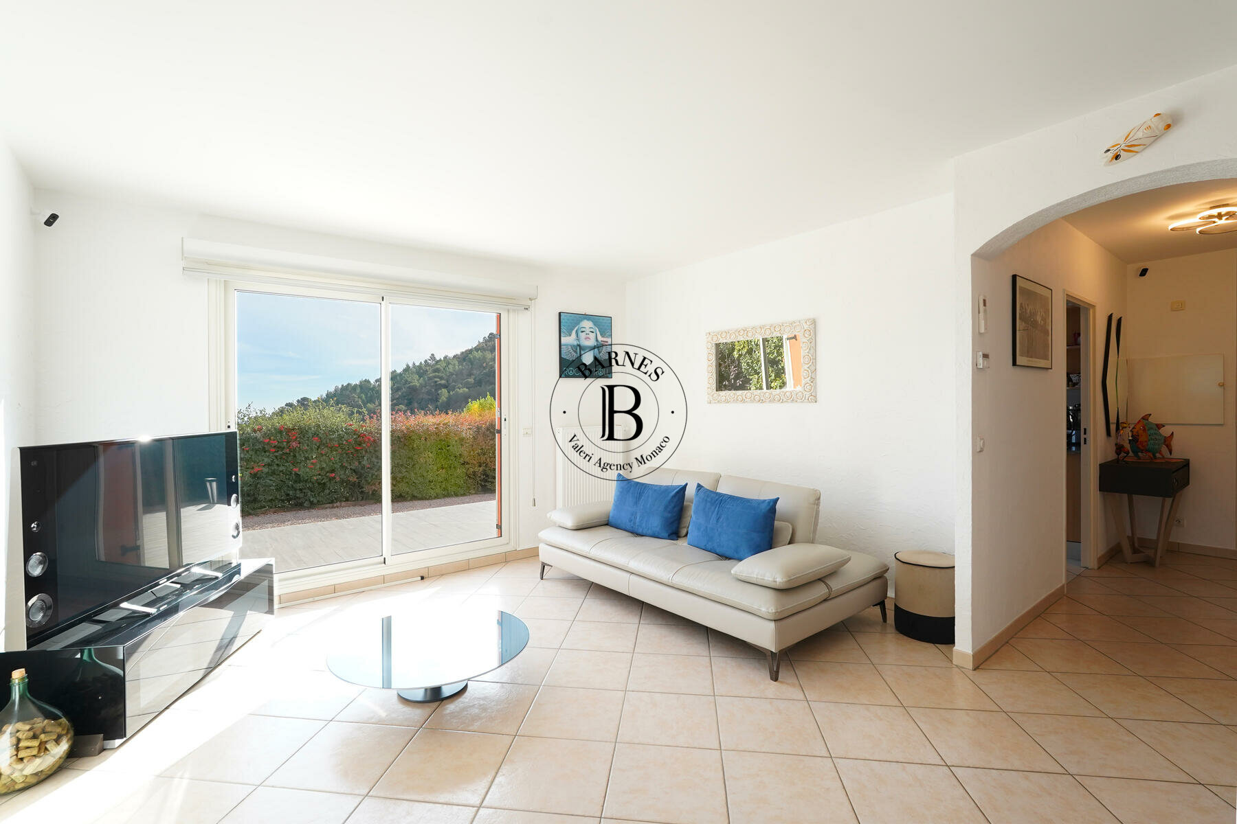 ÈZE - MAISON - VUE MER ET MONTAGNE - 3/14