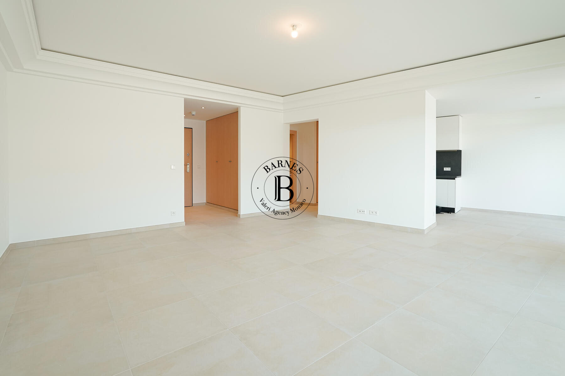 VICINO ALLA CONDAMINE - QUADRILOCALE - NUOVA RESIDENZA - 3/17