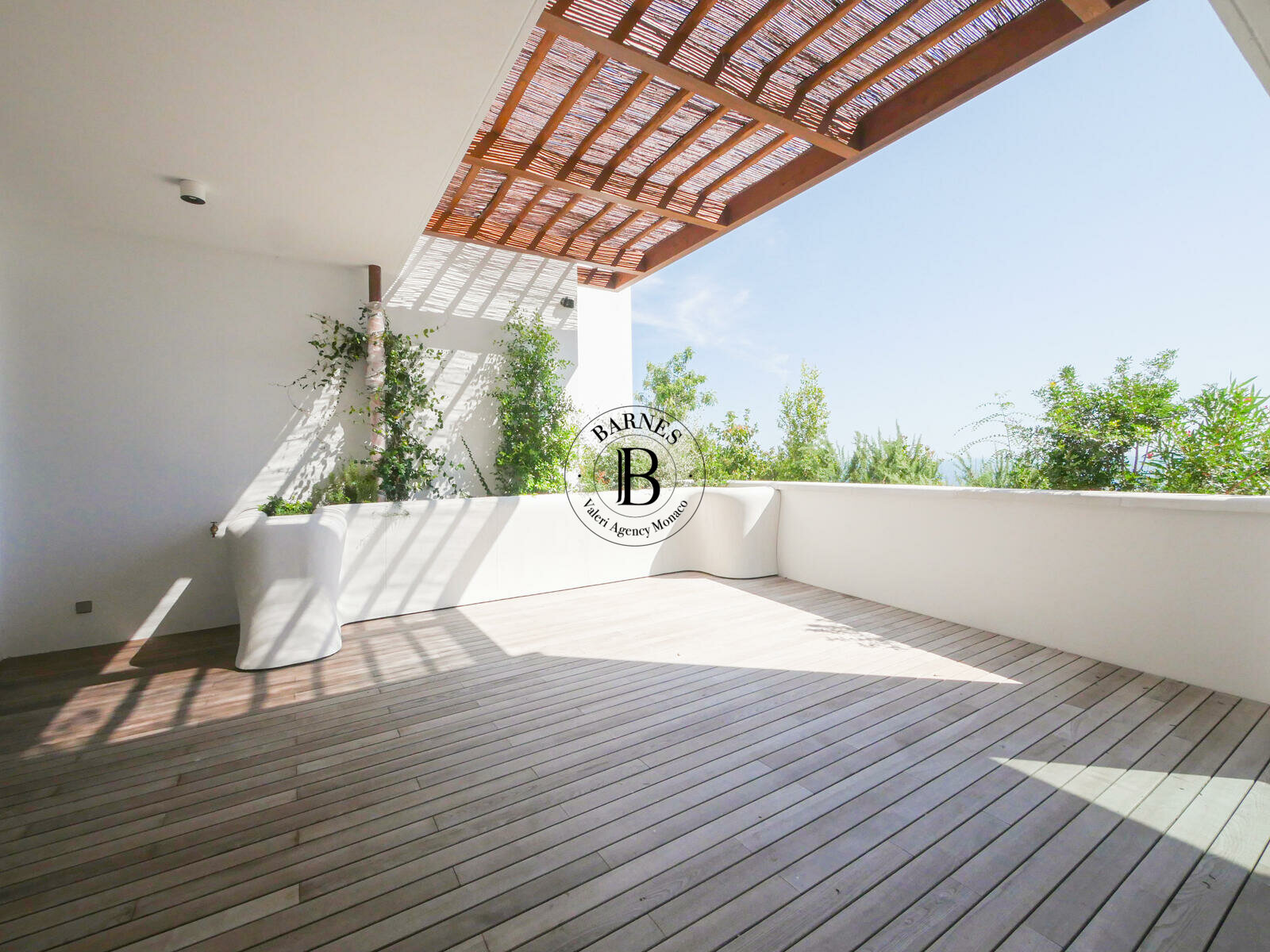 L'EXOTIQUE - LUXUEUX 3/4 PIECES - 2/13