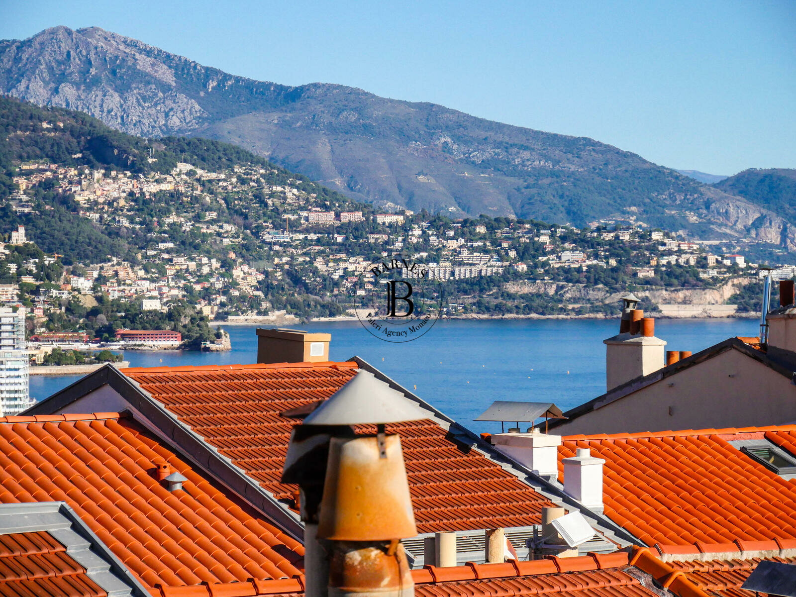 MONACO-VILLE - TRIPLEX WITH TERRACE - FREE OF LAW - 3/20