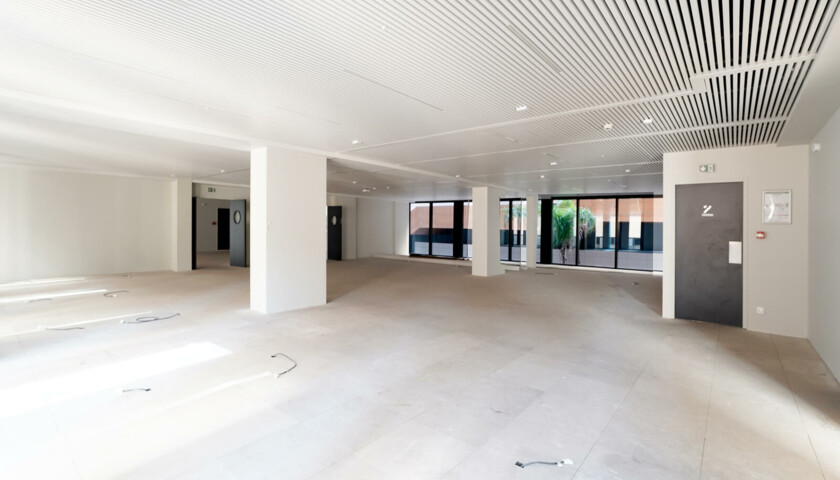 FONTVIEILLE - OFFICES - LUXURY OFFICES - 2/7